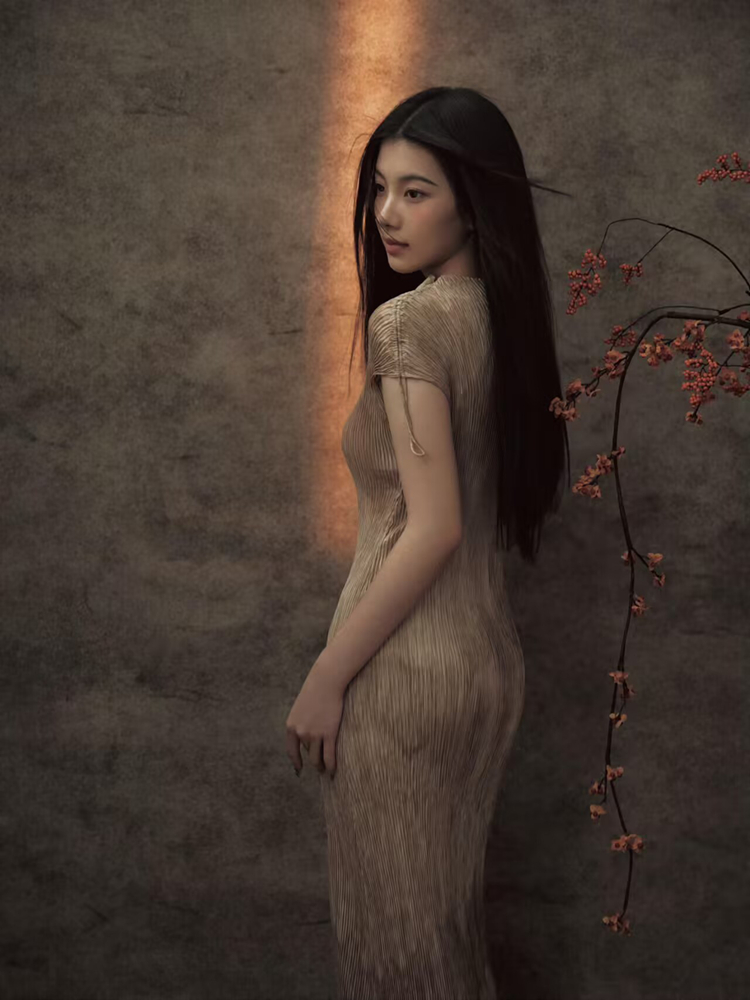 Nieuwe 2026 Chinese stijl port - Vintage Fashion Photography recensie en prijs